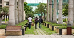 Universities need Empath Support Groups